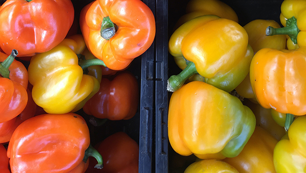 Rainbow Peppers When To Use Red Yellow Orange And Green Peppers Food24