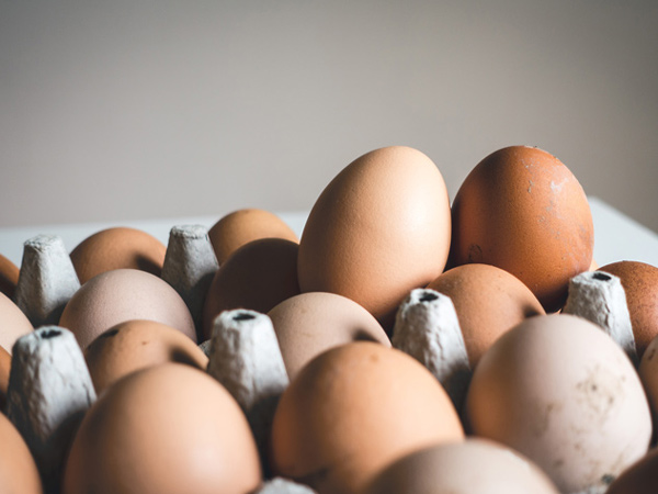 The jury’s out on egg alternatives – have you tried these ones?